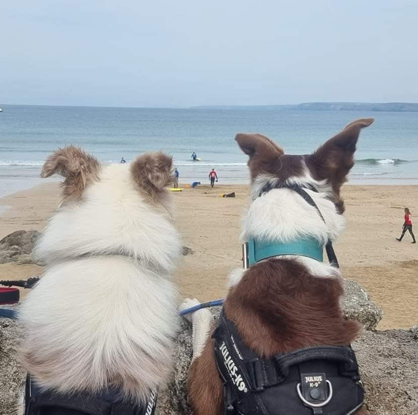 Axel and Kane